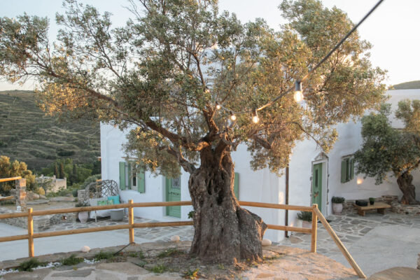 Giampoura Estate