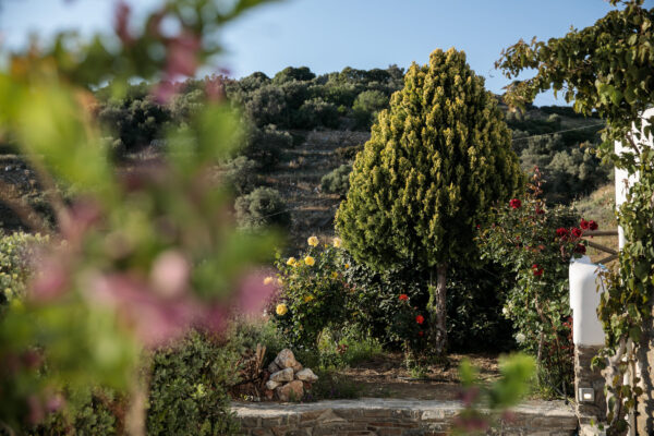 Giampoura Estate