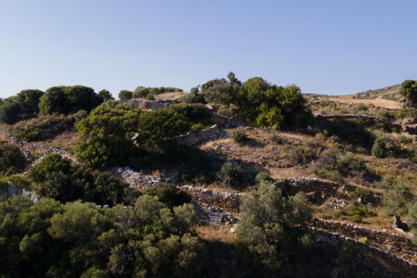 Giampoura Estate