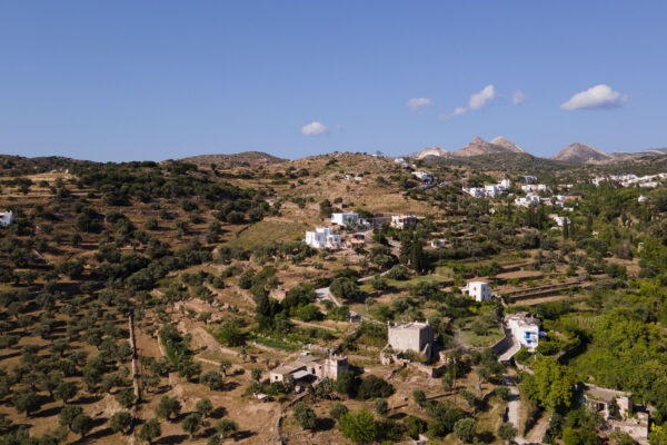 Giampoura Estate